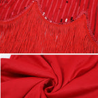 1920s Gatsby Flapper Dress & Accessory Set | Sequin Fringe | Plus Size XS–4XL
