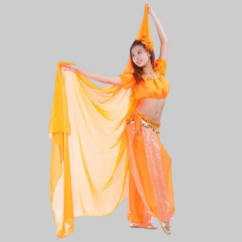 Belly Dance Chiffon Veil - Rectangle Performance Scarf 250cm x 120cm