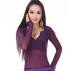 Mesh Dance Top | V-Neck | Long Sleeve