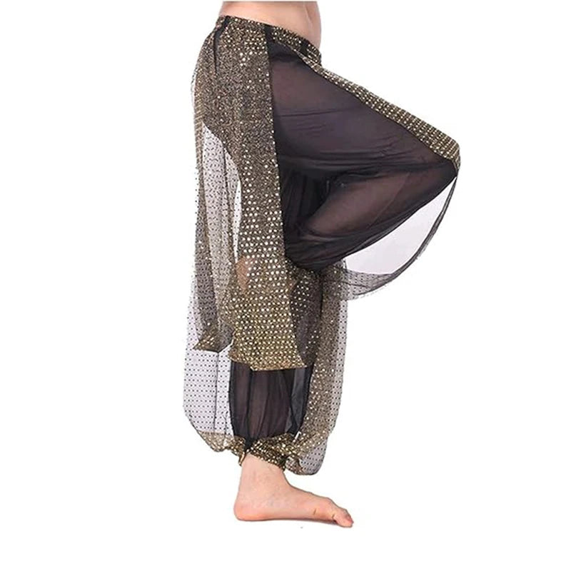Belly Dance Pants | Sequin Chiffon
