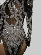 See Through Black Mesh Silver Sequins Mini Dress