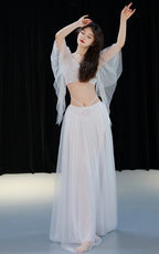 Belly Dance Costume | Mesh Top & Long Sash Skirt Set