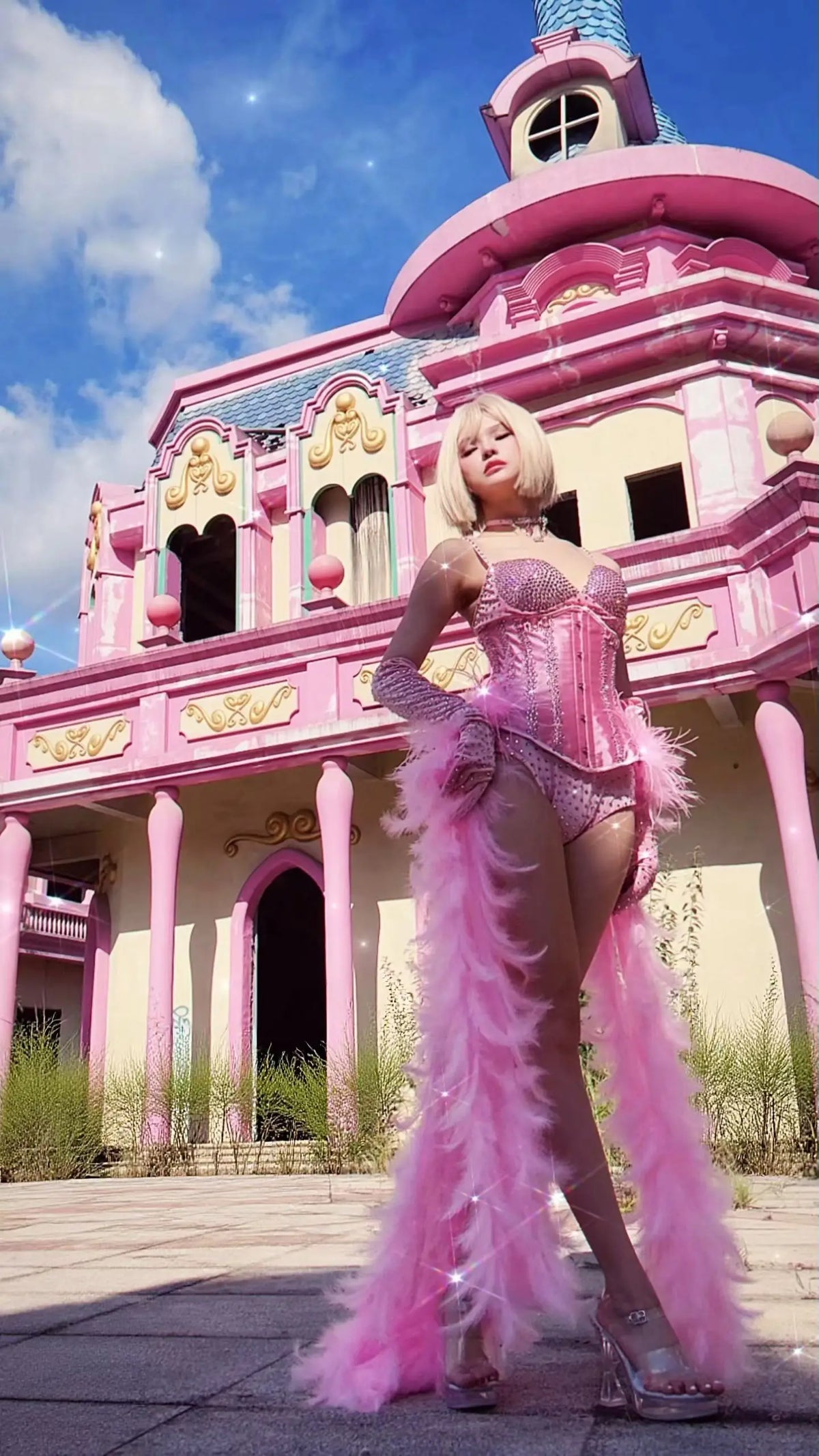 Pink Rhinestone Corset Stage Costume