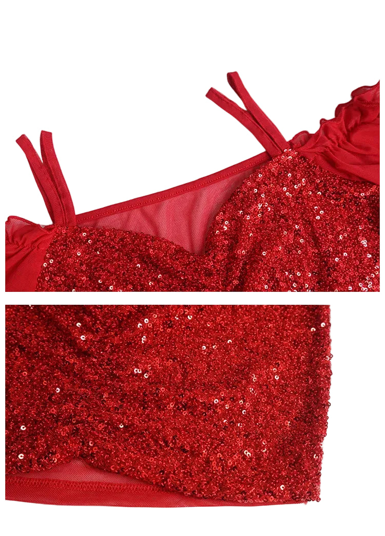 Belly Dance Costume | Sequin Mesh Top & Long Skirt Set