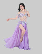 Egyptian Belly Dance Costume - Rhinestone Bra, Skirt & Long Sleeves Set