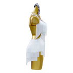 Rhinestone Tassel Latin Dance Dress – Women's Ballroom & Stage Costume