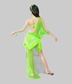 Egyptian Baladi Fishnet Dress - 5-Piece Belly Dance Costume Set