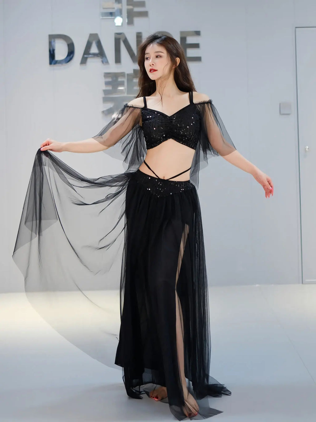 Belly Dance Costume | Mesh Top & Long Sash Skirt Set