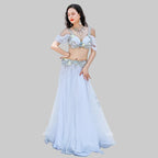 Egyptian Belly Dance Bra & Skirt Set - Beaded Competition Costume