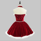 Santa Mini Dress Costume Set | Fur Trim Velvet | Christmas & Cosplay