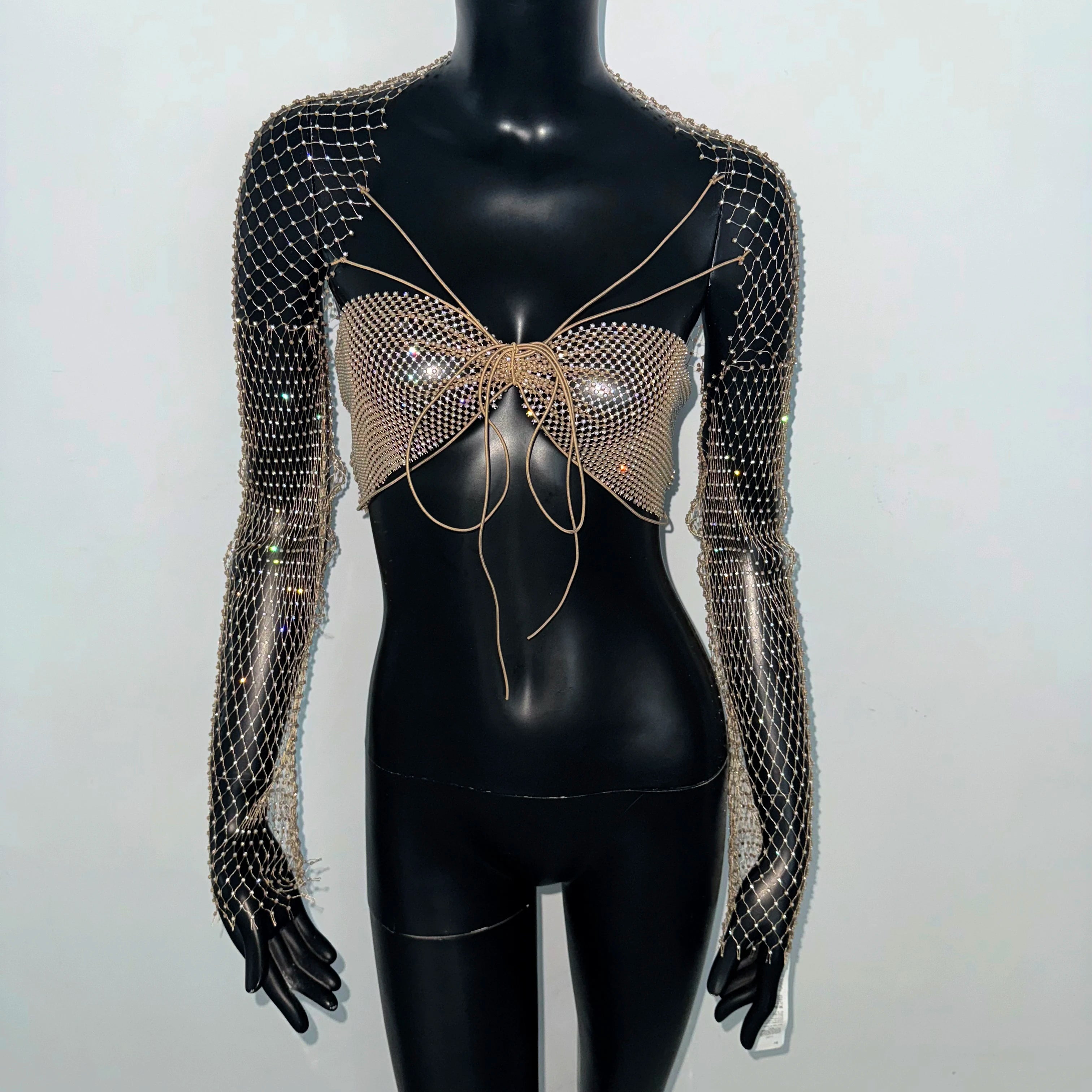 Rhinestone Mesh Long Sleeve Crop Top - Sheer Backless V-Neck Tee