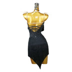 Rhinestone Fringe Latin Dance Dress with Ornaments Set