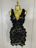 Pearl Flower Mesh Mini Dress | 3D Appliqué | V-Neck | Stage & Club