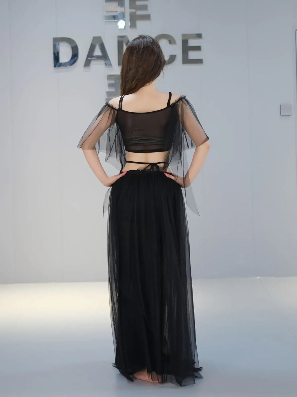 Belly Dance Costume | Mesh Top & Long Sash Skirt Set