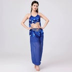 Belly Dance Harem Set | Sequin Halter Top & Chiffon Pants