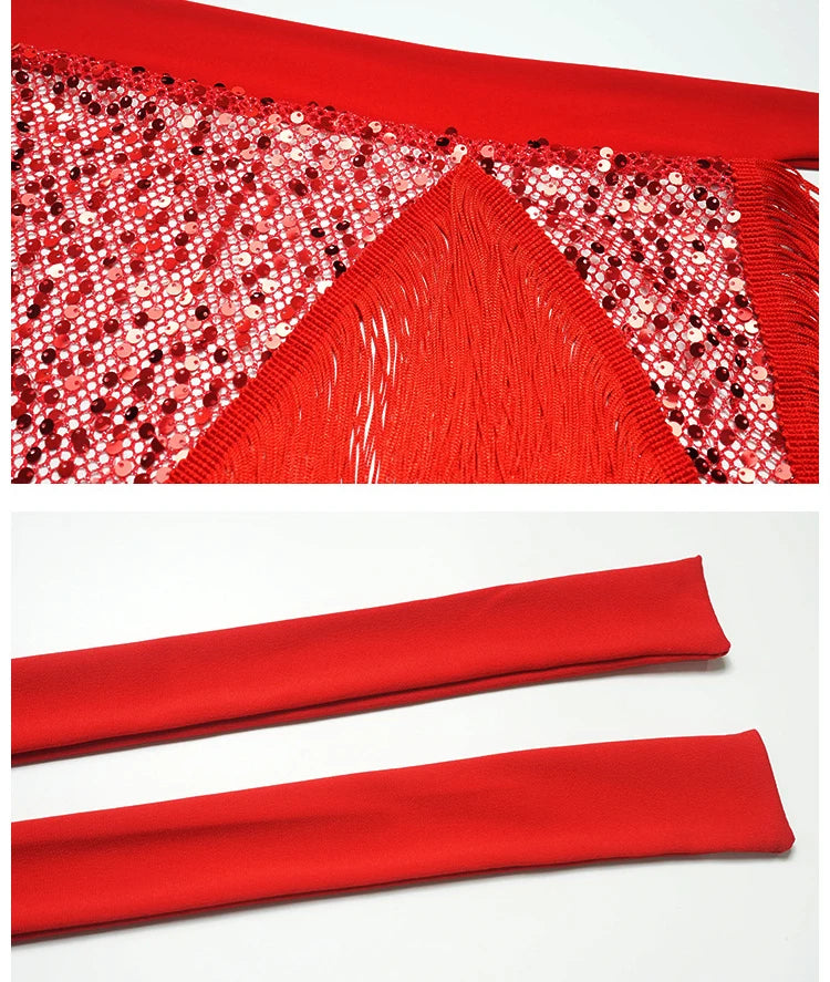 Belly Dance Hip Scarf | Sequin & Bead | Long Fringe | 4 Colors
