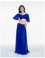 Belly Dance Costume | Sequin Mesh Top & Long Skirt Set