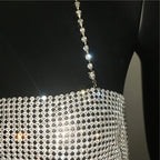 Bling Rhinestone Sequin Halter Crop Top - Backless Metal Tank