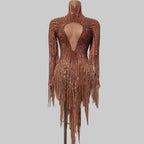 Gold Rhinestone Tassel Dress - Sheer Mesh Performance Costume for Dancers & Celebrations