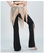 Belly Dance Hip Scarf | Sequin & Bead | Long Fringe | 4 Colors