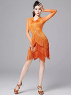 Latin Dance Fringe Dress | Rhinestone Mesh V-Neck