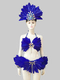 Angel Feather Wings & Headdress Set - Victoria's Secret Style Performance Costume