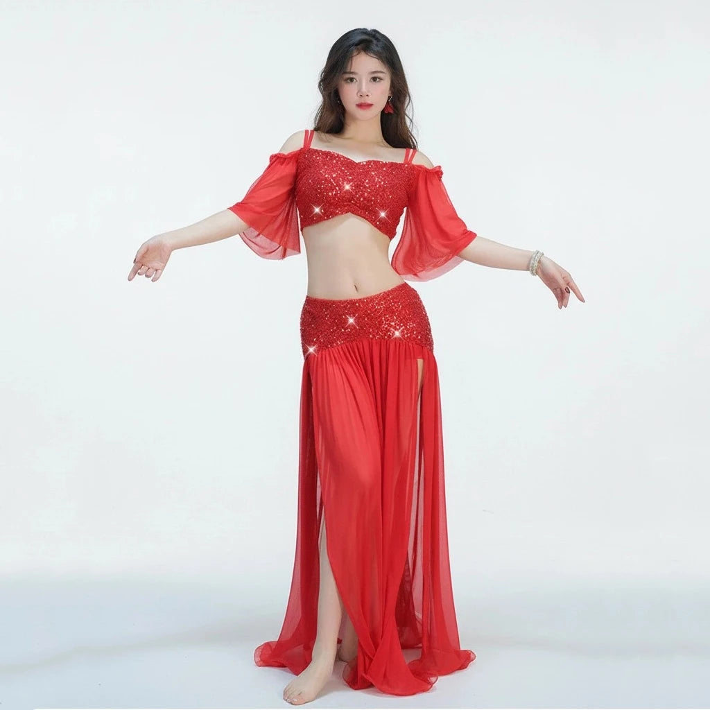 Belly Dance Costume | Sequin Mesh Top & Long Skirt Set