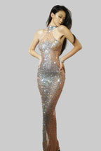Rhinestone Evening Dress - Sheer Bodycon Maxi Gown with Diamond Embellishments