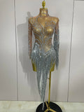 Rhinestone Mesh Tassel Dress | Sleeveless | Singer Stage