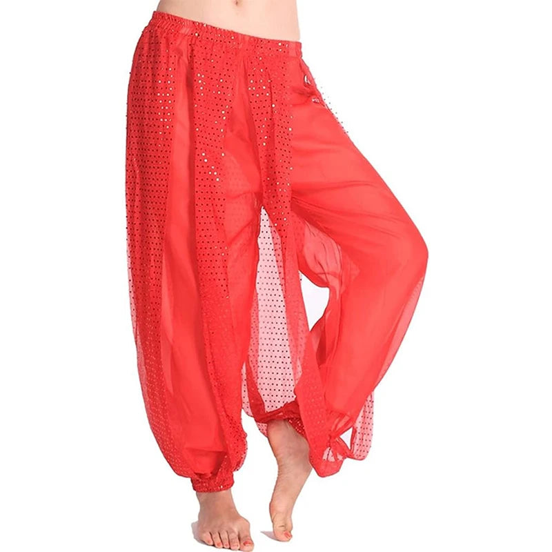 Belly Dance Pants | Sequin Chiffon