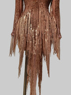 Gold Rhinestone Tassel Dress - Sheer Mesh Performance Costume for Dancers & Celebrations