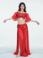 Belly Dance Costume | Sequin Mesh Top & Long Skirt Set