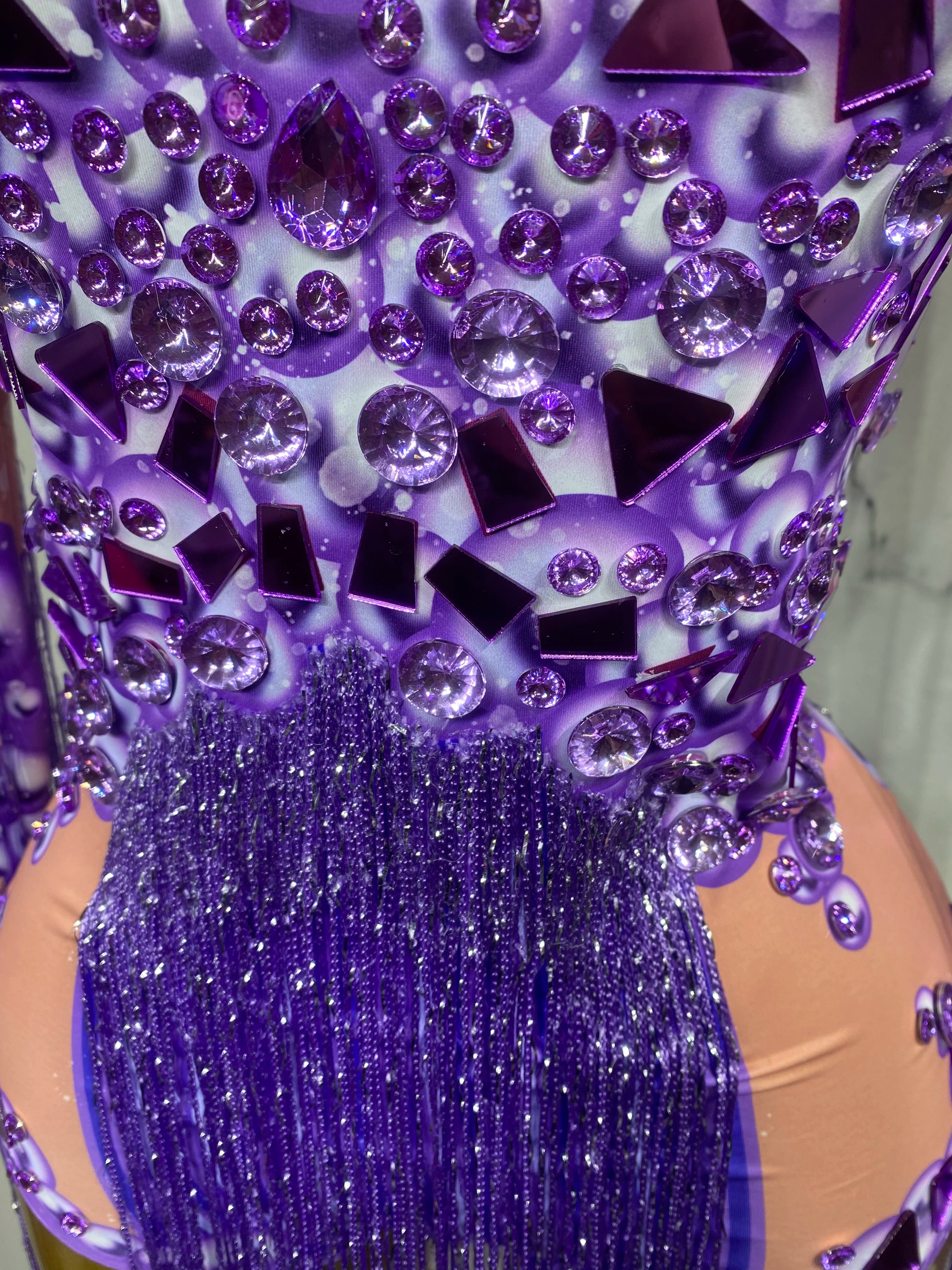 Rhinestone Fringe Bodysuit | 3D Floral | Purple & Red | S–XL