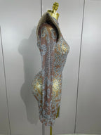 Rhinestone Mesh Mini Dress | Long Sleeve | Singer Stage