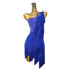 Blue Rhinestone Fringe Latin Dance Dress with Accessories Set — Samba & Stage