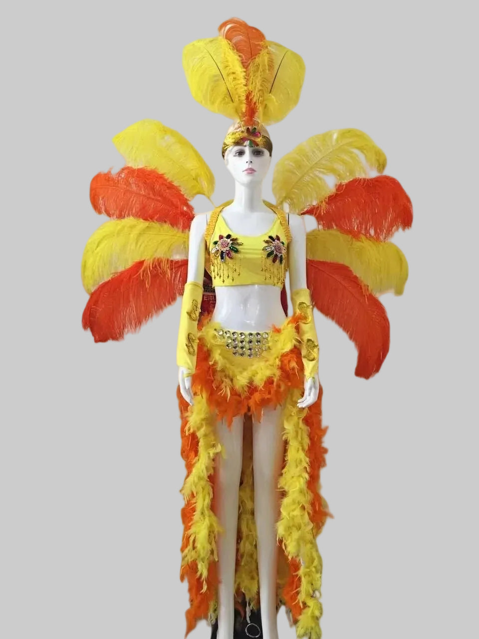 Handcrafted Feather Wings - Stage Performance Costume