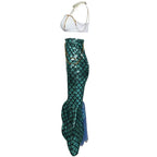 Mermaid Costume | Fish Scale Sequin Gown | Top & Skirt Set