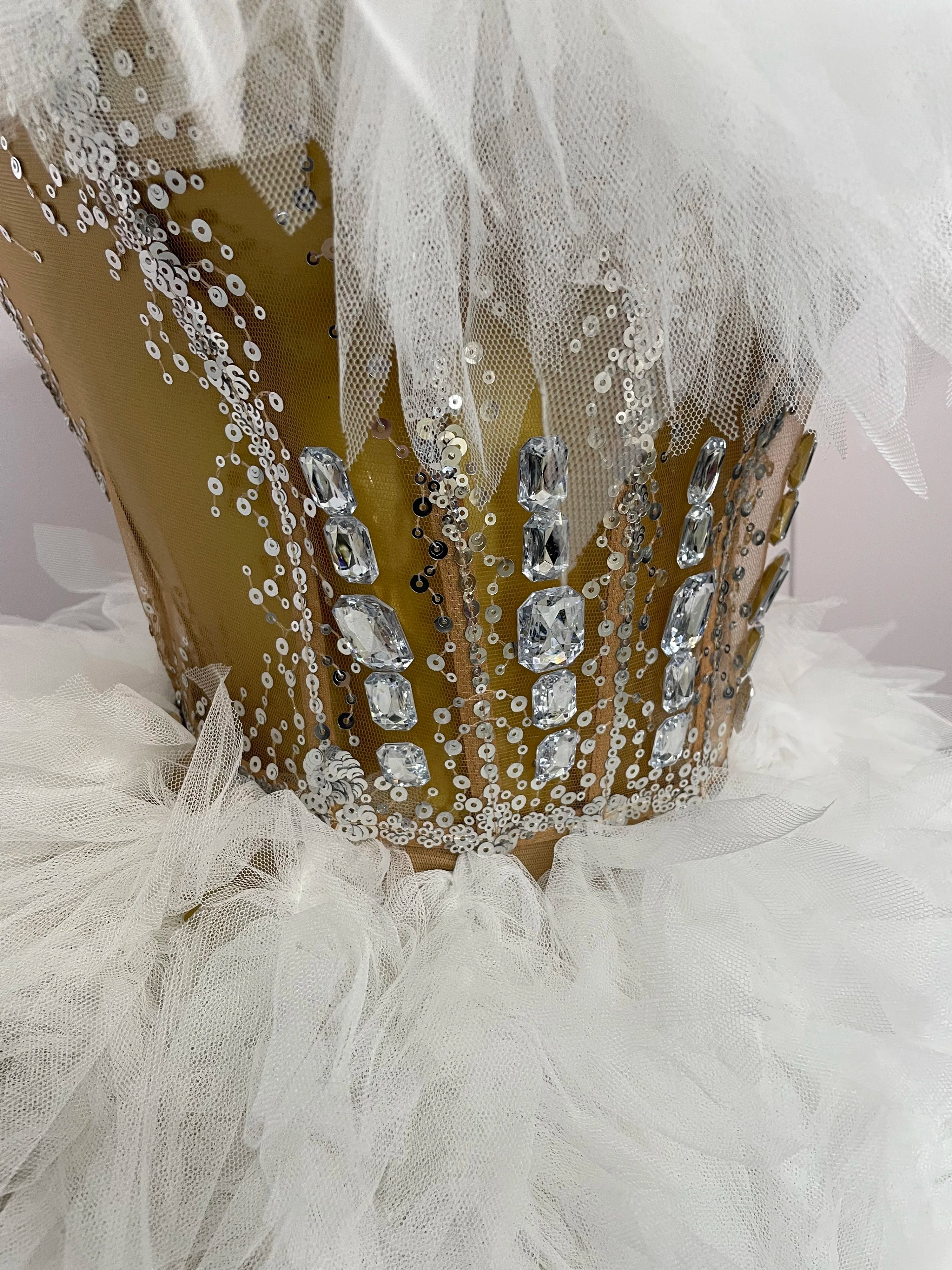 Feather Two-Piece Set | Rhinestone Corset Waist | Stage Costume