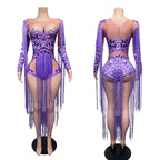 Rhinestone Fringe Bodysuit | 3D Floral | Purple & Red | S–XL
