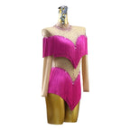 Latin Dance Dress – Rhinestone Fringe Long Sleeve