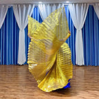 Belly Dance Isis Wings | Iridescent | Split & Solid