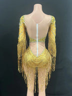 Sparkly Fringe Bodysuit | Long Sleeves