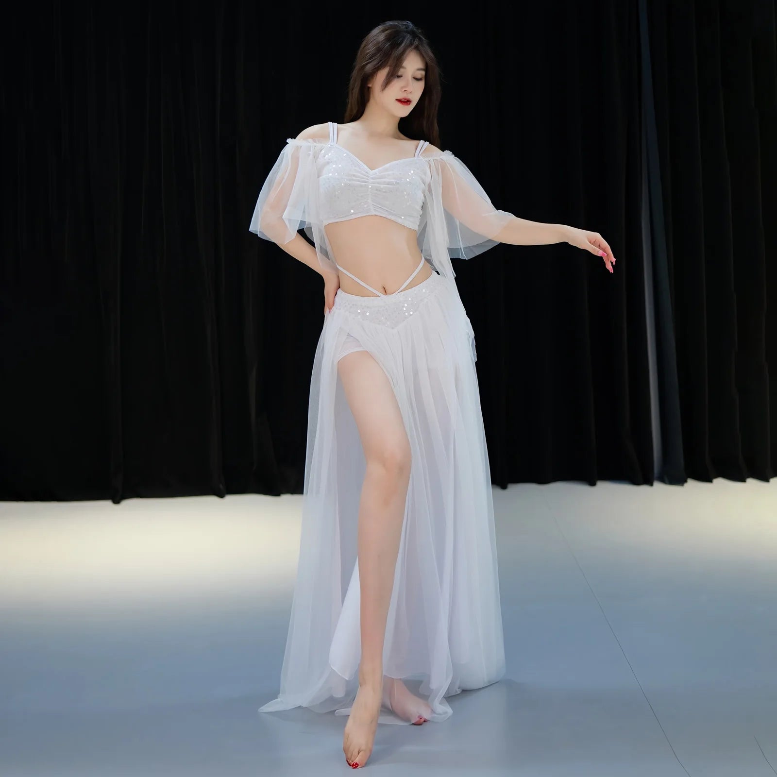 Belly Dance Costume | Mesh Top & Long Sash Skirt Set