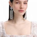 Rhinestone Fringe Drop Earrings