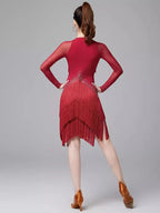 Latin Dance Fringe Dress | Rhinestone Mesh V-Neck