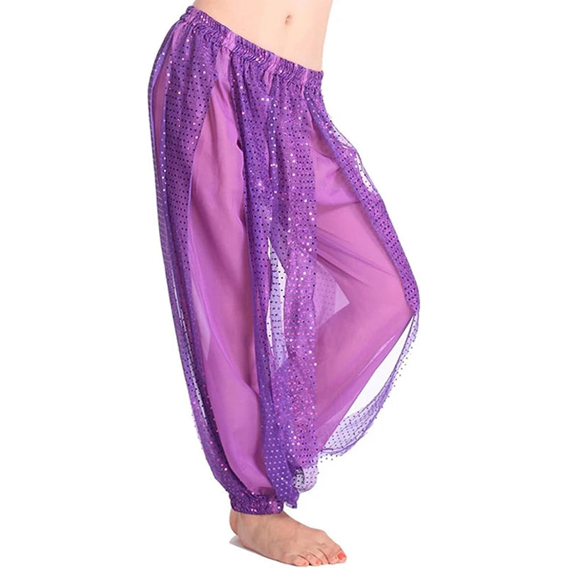 Belly Dance Pants | Sequin Chiffon