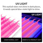 UV Neon Colored Lash Extensions | Individual | 8-14mm Mix