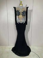 3D Floral Mesh Mermaid Gown | Long Sleeve | Pageant