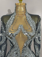 Rhinestone Mesh Long Sleeve Mini Dress | Sparkle | Stage