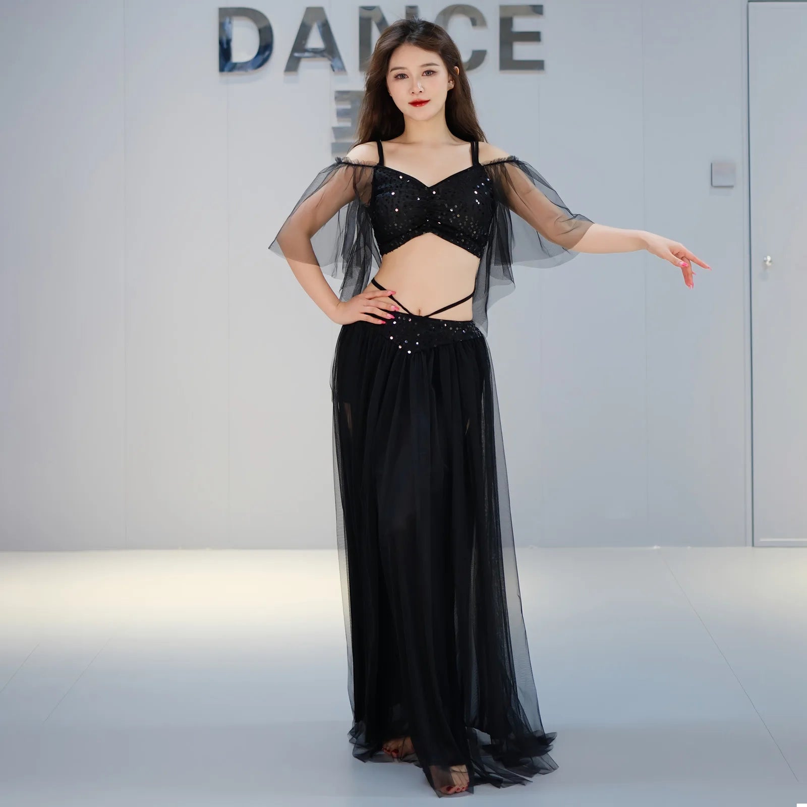 Belly Dance Costume | Mesh Top & Long Sash Skirt Set